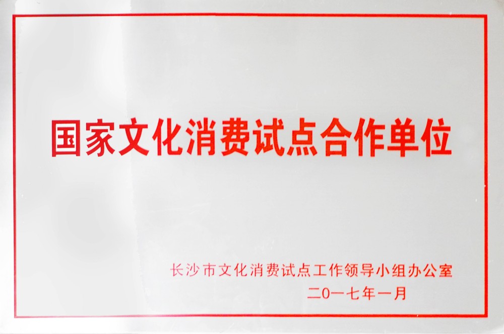 国家文化消费试点合作单位